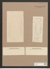 Surirella sp. (de-Toni-Nr.: Genus 53) Zeichnungen Sammlung Grunow Nr. 4836 (NHMW-BOT-W0373001)